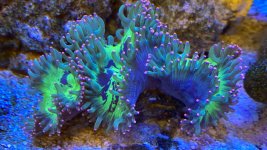 DE9A842D-1555-44AA-9586-9F2F414C5770.jpeg