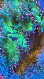 5D874E76-D601-4EF5-8818-8FFDCFFA637C.jpeg