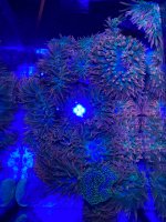 F0358D4C-B7DE-4375-AA0A-A4E4CDB5ED5F.jpeg