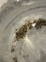 IMG_8235.jpeg