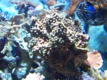 100_1223.jpg