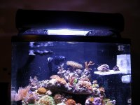 New_Aquapod setup2 020.jpg