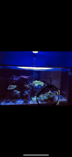 D19C5465-E5C8-4C72-B193-7C19664E9EB0.png