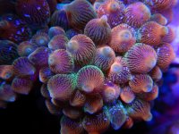 8D456B23-5AB1-49A3-81F5-7C3CCC86B90C.jpeg