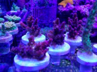 20210427_191512-01.jpeg