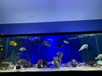 DD2575C9-E365-4D2A-8A5B-0CEE2A7ED92C.jpeg