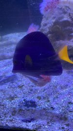 5041622C-5DD6-40D5-96C8-2E0E60056163.jpeg