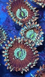 D75B4AB5-5F93-404D-AB34-38AA46A182E1.jpeg