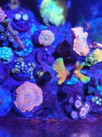 20210615_215424_compress48.jpg