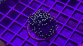8DB30303-BA6C-48E7-839D-571843C25908.jpeg