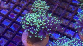 27BA2C2E-3228-47AA-8320-F8C71B8A6223.jpeg