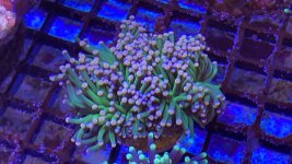 75C41184-D896-4B5D-9E01-4C875C4CA62B.jpeg