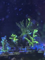 0BF00CBD-C17A-44C5-9463-AB5BC26B6958.jpeg