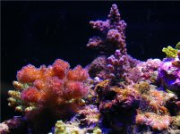 DSCN0418.JPG
