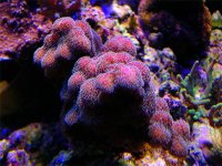 DSCN0417.JPG