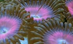 000_35752.JPG