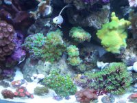 100_1273.jpg