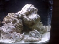 -Device Memory-home-user-pictures-IMG00193.jpg