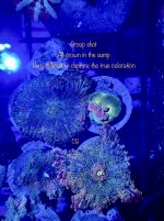 202F8673-D5F9-4EDB-B550-7E9FF6B3A7F4.jpeg