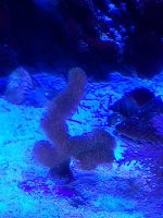 20220115_194518.jpg