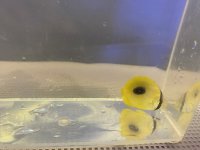 E0761467-4E47-4B67-B3E2-367E4AC6DA27.jpeg