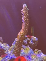 F54E4550-5182-43CD-8486-F94D25469315.jpeg