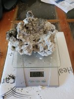 1-15lb  a.jpg