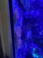 2414A1C5-13DE-4119-A9E2-3C5E535F076E.jpeg