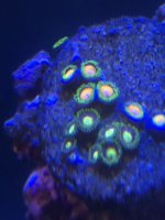 35818032-0E4C-4784-8E12-1AC83481C151.jpeg