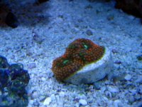 IMG_0219.jpg