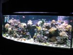 155 & new 20 reefs 12-10-07 002_640x480.jpg