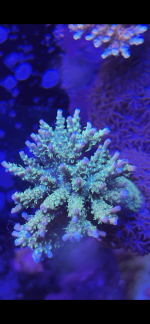 9561C023-E746-4F1D-A116-A343672DFBB1.png