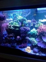 20220429_121725.jpg