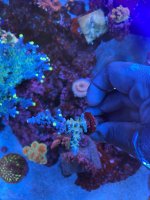 12466705-70CE-44B1-BA4D-295A86D54BB4.jpeg