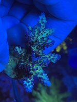 3E8CFCE2-960D-48F4-9049-53F376B6DA56.jpeg