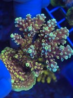 A780E4D4-81AD-463E-8B96-EFACD0EAB163.jpeg