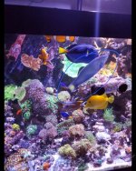 Screenshot_20220727-142141_Gallery_compress61.jpg