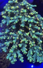 B2744263-7178-46C8-BD94-C7AA9DDC4D26.jpeg