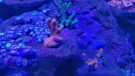 20220916_190117.jpg