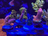 E7385086-25D7-4499-9A0B-60C90FB047E3.jpeg