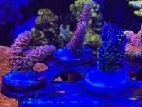 CB032BCA-075C-4806-961F-00EC8C61C7BF.jpeg