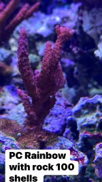DE1658AA-C9DC-4534-A6C8-0DB0550B424F.jpeg