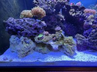 IMG_0780.jpeg