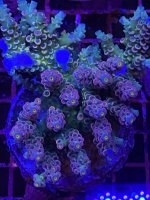 2EB1D1DF-D575-453D-969F-EF386AD50C79.jpeg