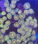E06C6343-0B2C-4895-B9B7-353262175B5B.jpeg