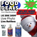 FOOD DEALS.jpeg