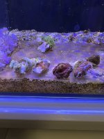 image_67160065.JPG