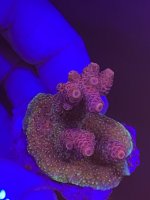 277D5ED9-6D05-4A11-8AB5-8C34D461FA2E.jpeg