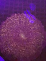 22126C3F-A862-4D98-8A00-E92540FC1E23.jpeg