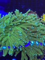 29C35F3B-6135-4B23-8843-7DFAE9C89A10.jpeg
